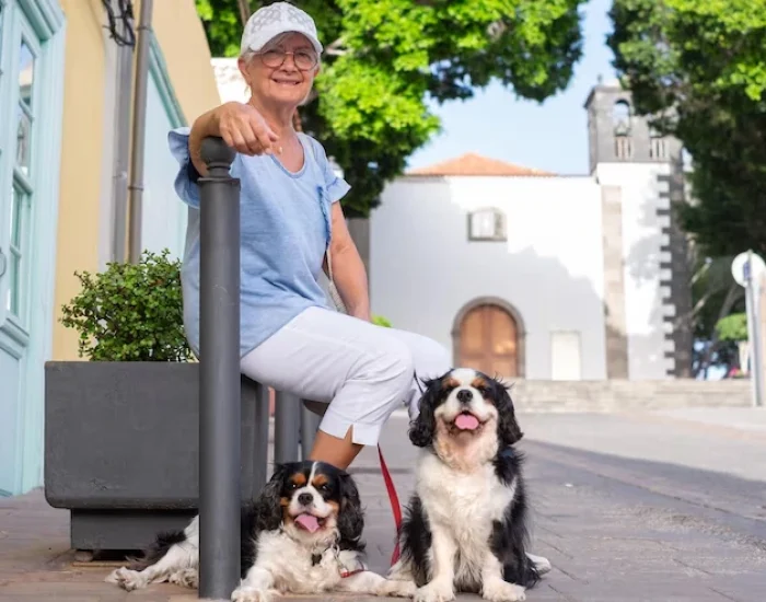 Pet Travel Documentation Management (3)