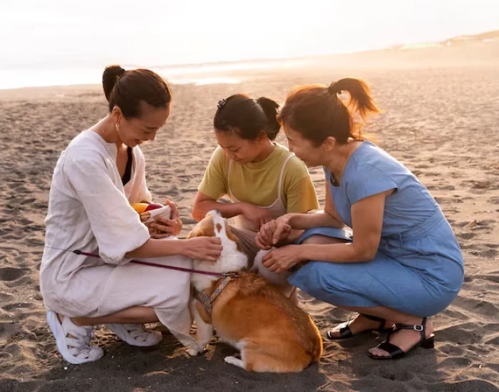 Pet Travel Insurance and Emergency Support