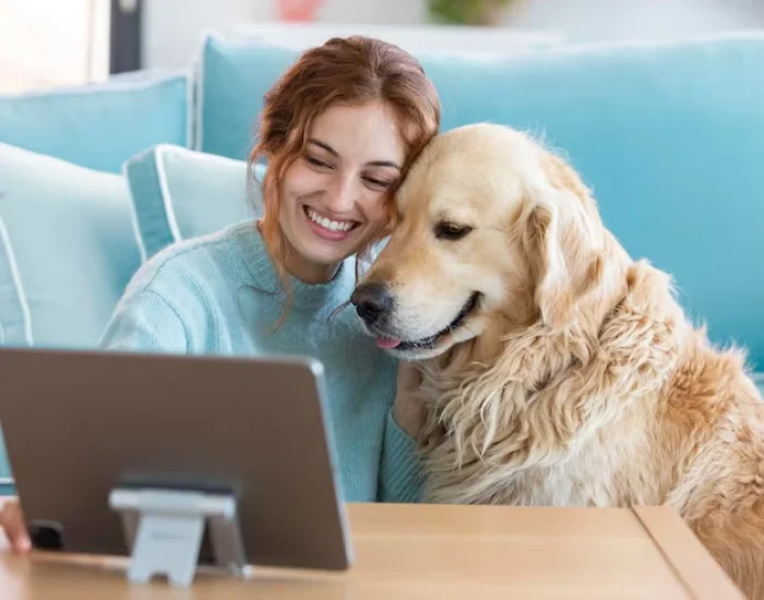 Pet Travel Planning and Consultation