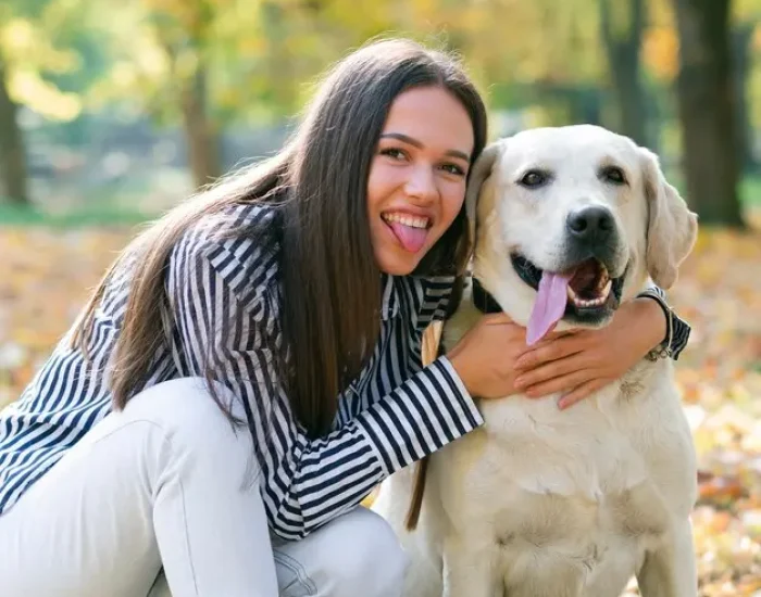 Pet Travel Planning and Consultationj