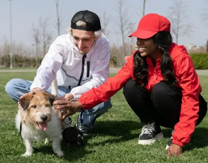 Pet Welfare Monitoring & Travel Readiness Support