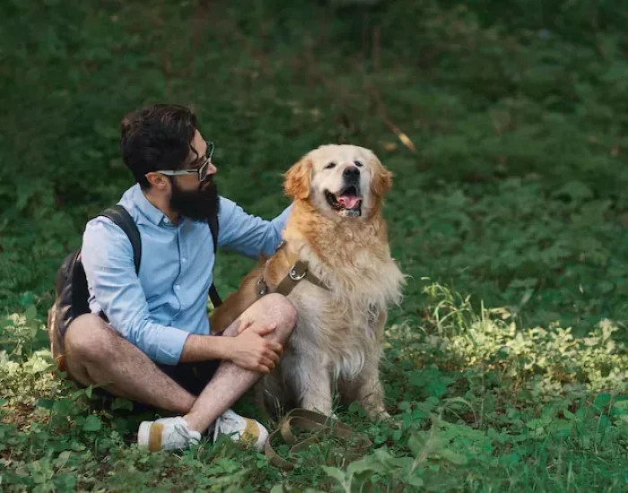 Pets Lets Travel Team