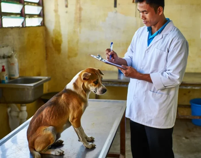 Philippines Export Processing and Document Authentication