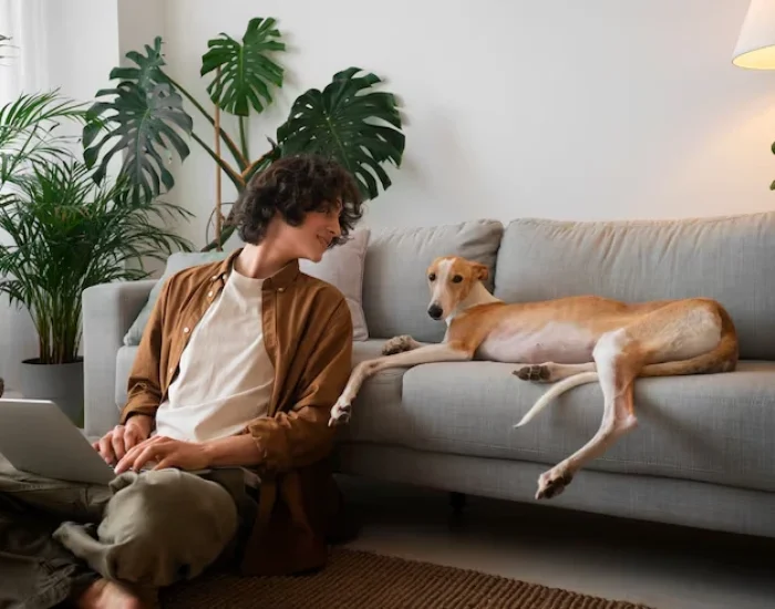 Portugal-Specific Import Requirements