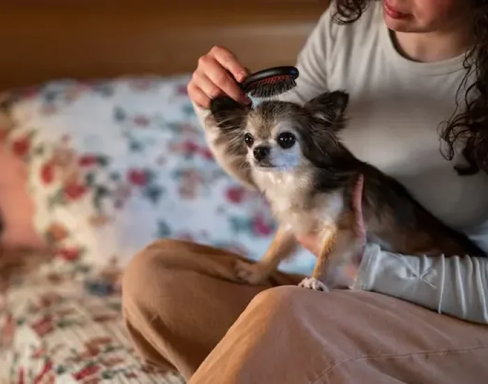 Post-Arrival Care and Handoverm