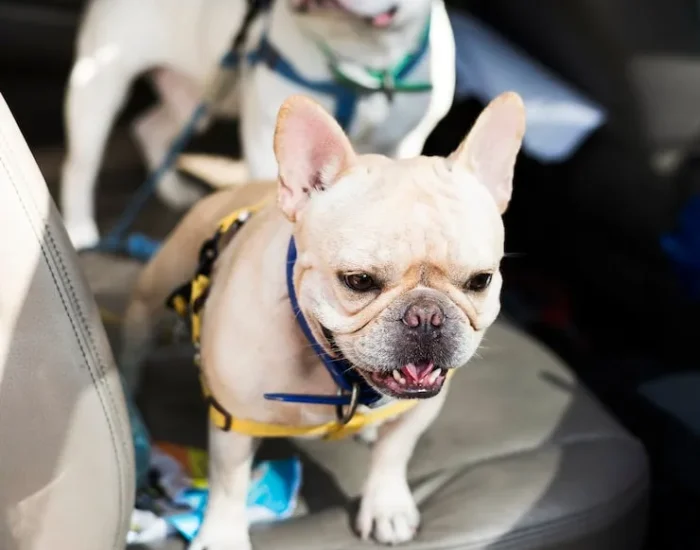 Post-Arrival Delivery to Your Sydney Home​