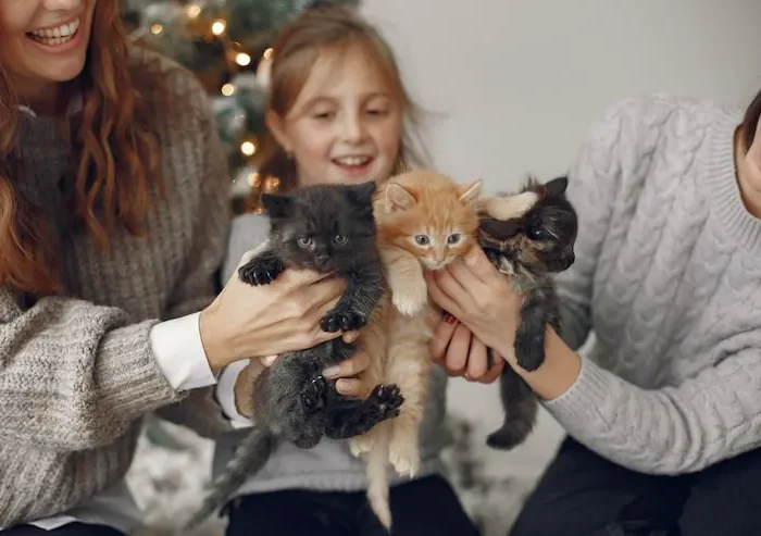 Post-Arrival Handover and Settling Support