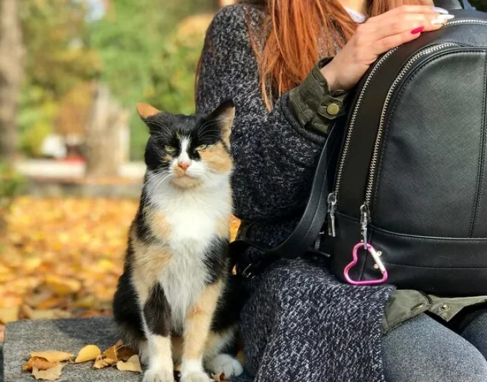 Post-Arrival Support & Settling Assistance