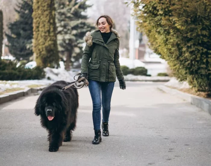 Post-Arrival Support and Compliance Guidance