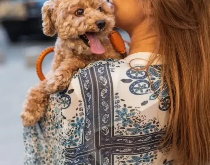 Pre-Export Compliance Planning and Timeline Control