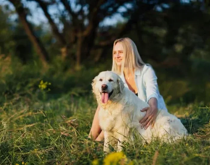 Pre-Export Planning and Case Review