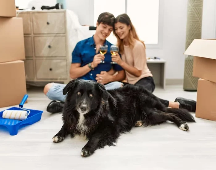 Pre-Flight Coordination and Airport Handover