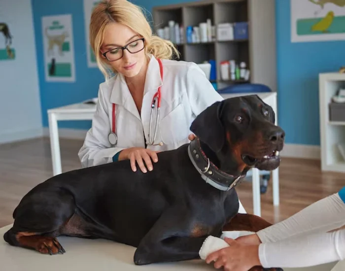 Pre-Flight Health and Comfort Checks of dod