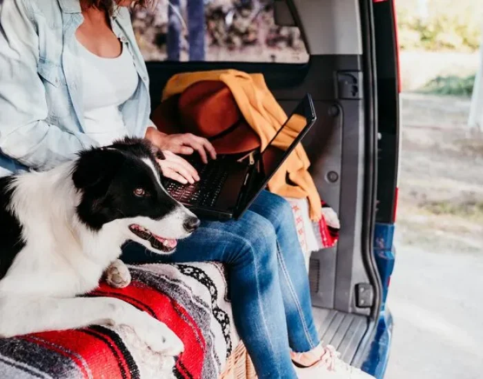 Pre-Flight Health and Documentation Management