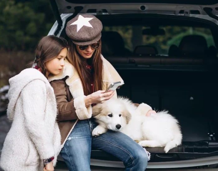 Pre-Flight Vet Checks & Travel Readiness