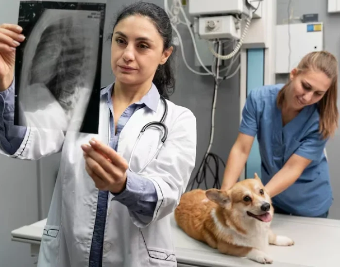 Pre-Relocation Assessment and Planning