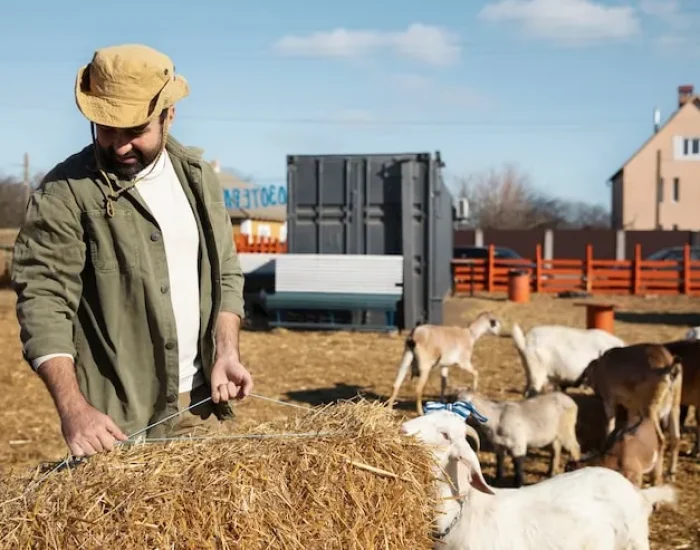 Pre-Relocation Assessment and Planning