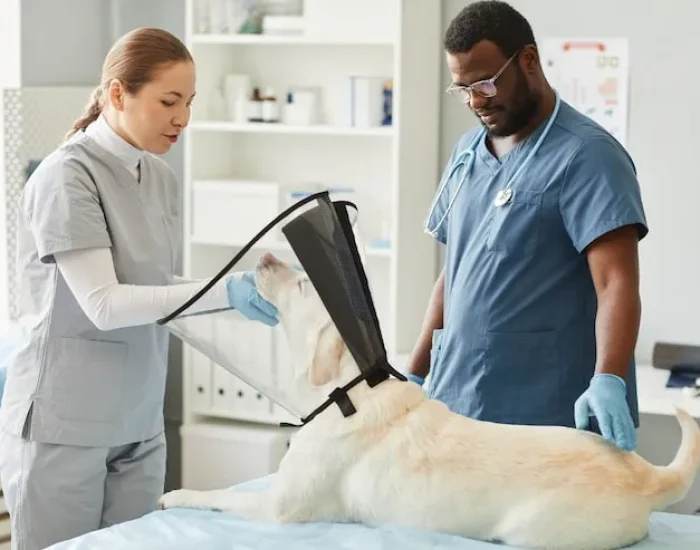 Pre-Relocation Planning and Case Review​