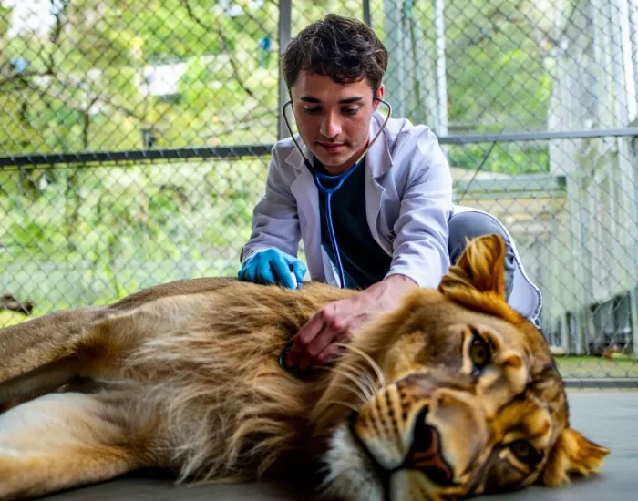 Pre-Transport Health and Compliance Preparation