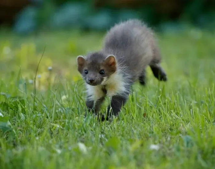 Pre-Transport Planning and Route Assessment