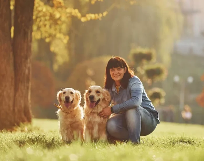 Pre-Travel Conditioning and Guidance