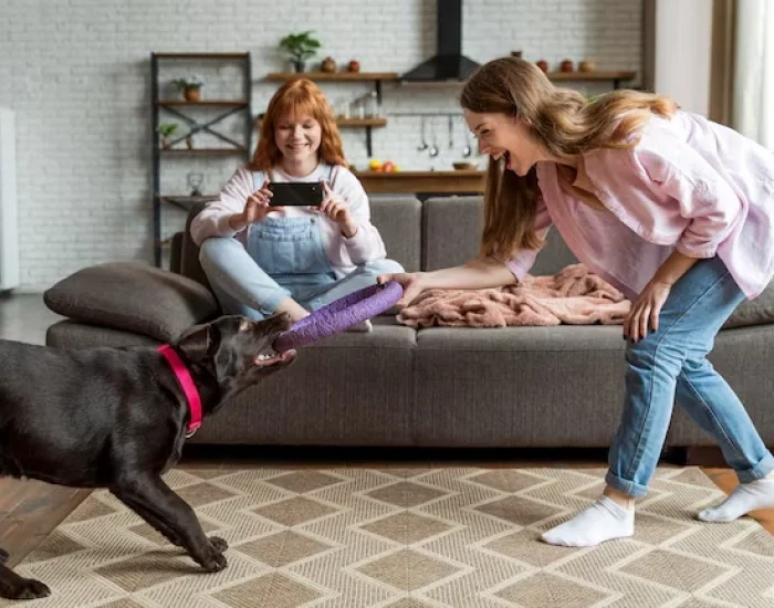 Pre-Travel Consultation and Planning