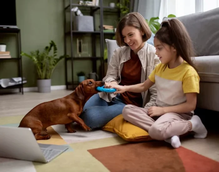 Pre-Travel Consultation and Planninu