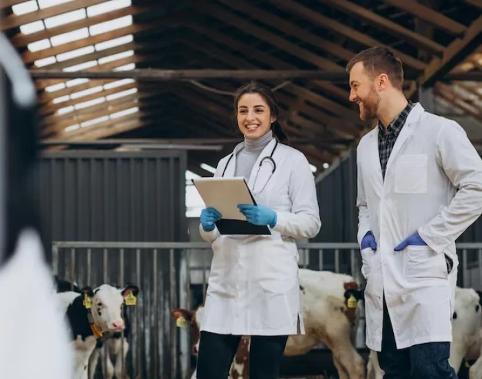 Pre-Travel Veterinary Compliance