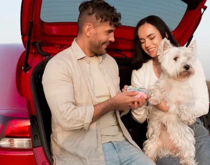 Pre-Travel Veterinary Compliance & Documentation