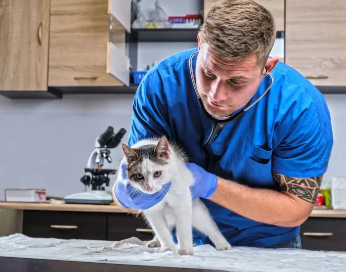 Pre Travel Veterinary Coordination