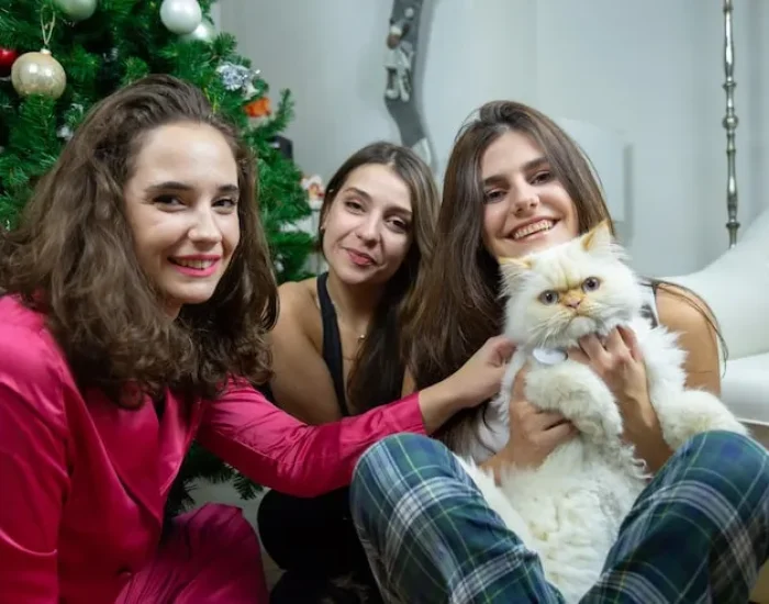 Pre-Travel Veterinary Coordination