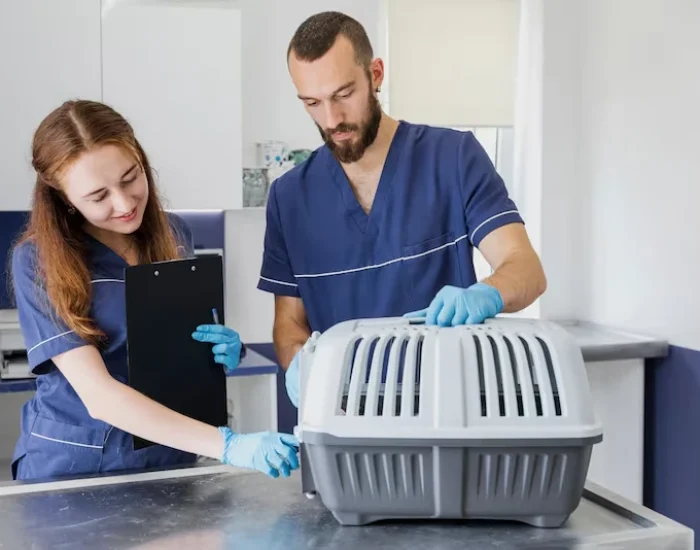 Pre-Travel Veterinary Coordinations