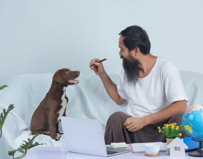 Pre-Travel Veterinary Support