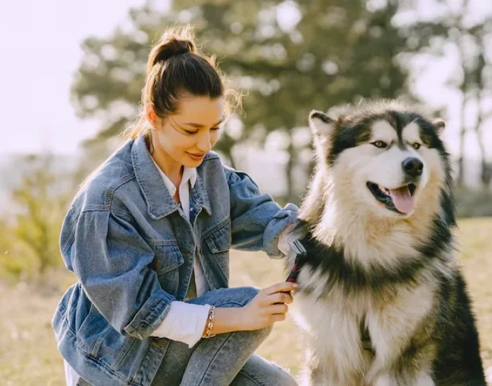 Premium Pet Travel Equipment and Crate Preparation (2)