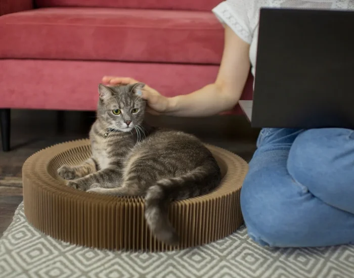 Private Jet Coordination and Route Planningf