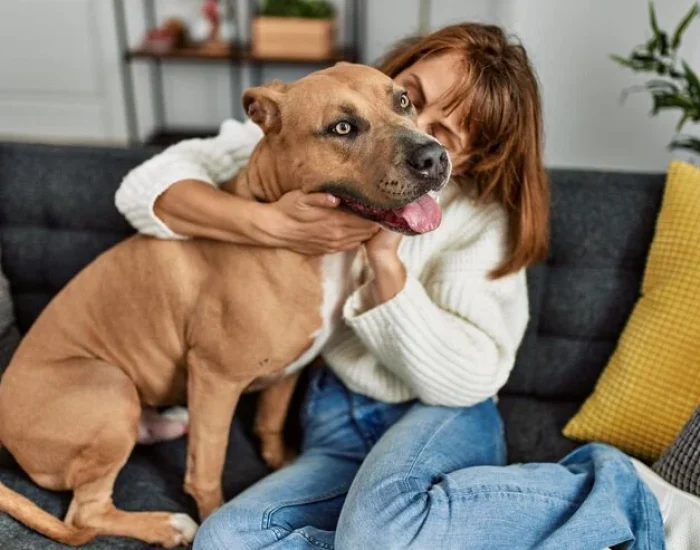 Private Jet Pet Travel Coordination​