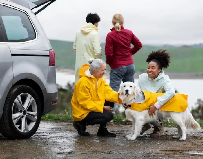 Private Manchester Dog Transport
