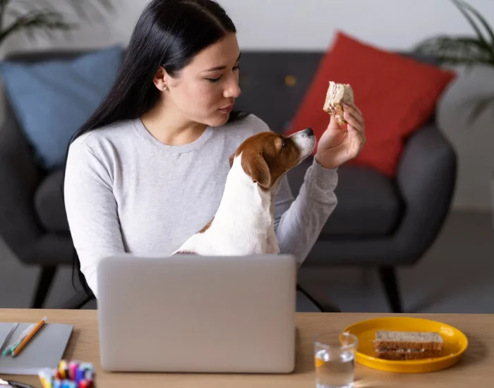 Quarantine Advisory and Compliance Planning