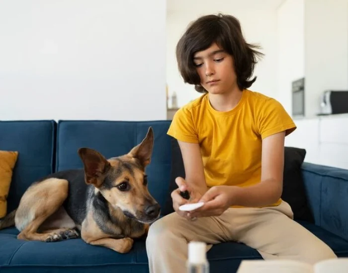 Quarantine Planning and Border Clearance