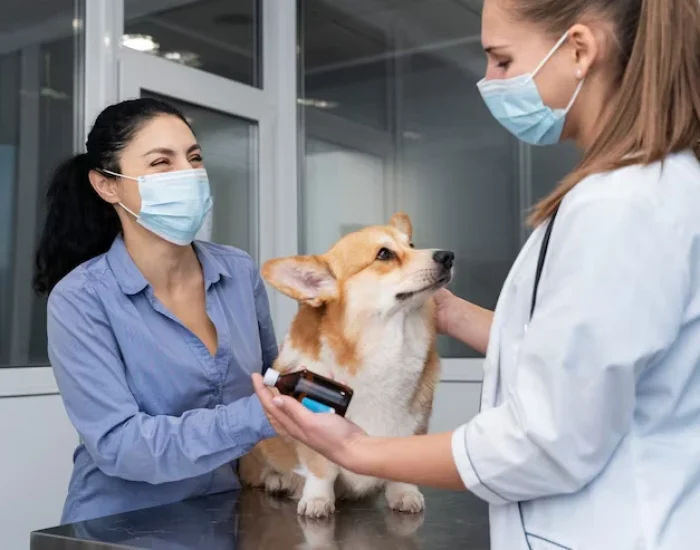 Quarantine and Health Regulation Guidanceg