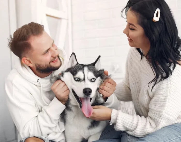 Regulatory Clearance and Documentation Handling