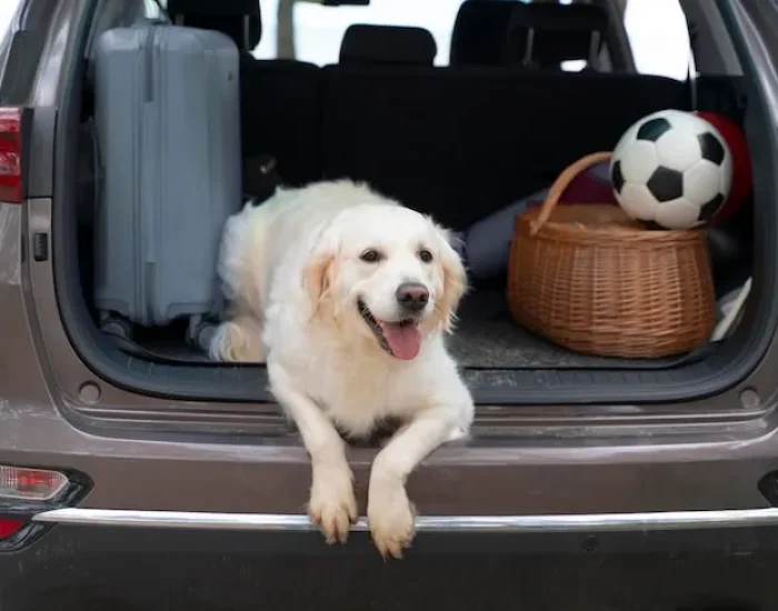 Relocation Advisory for HR and Mobility Teams