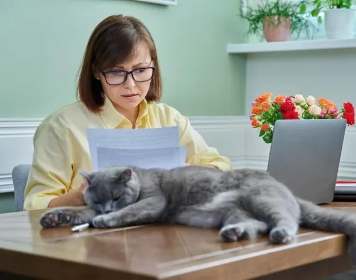 Person reading with cat on table.