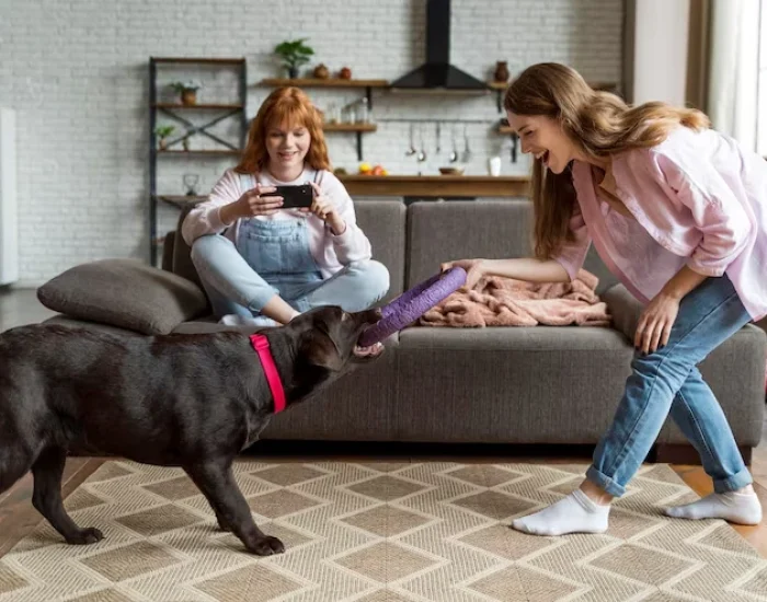 Relocation Consulting for Corporate HR and Mobility Teamsv