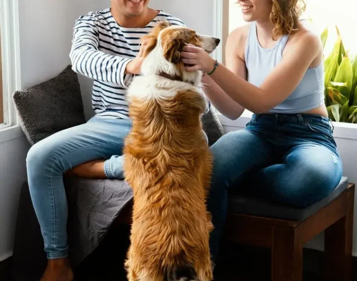 Relocation Planning and Consultation for Celebrities