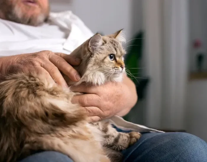 Relocation Planning for Multi-Pet Households