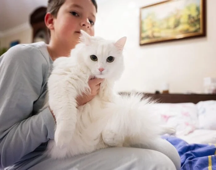 Relocation Planning for Multi-Pet and Complex Cases