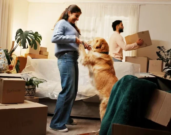 Relocation Planning for Multiple Pets