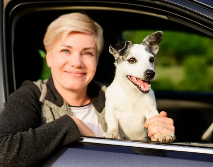 Road Transport Options