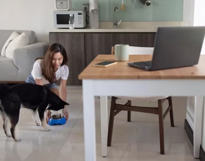 Route Planning from the UK to Guadalajara​